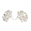 Clear Rhinestone Earring