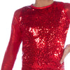 Youth Sequin Raglan Mesh Sleeve Leotard