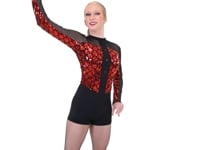 Sequin Broadway Long Sleeve Chicago Biketard