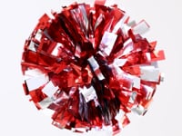 4 Inch Multi Color Metallic Pom (Sold Individually)